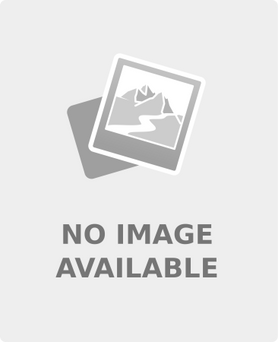 Medline Replacement Swivel Casters for Walkers, 5